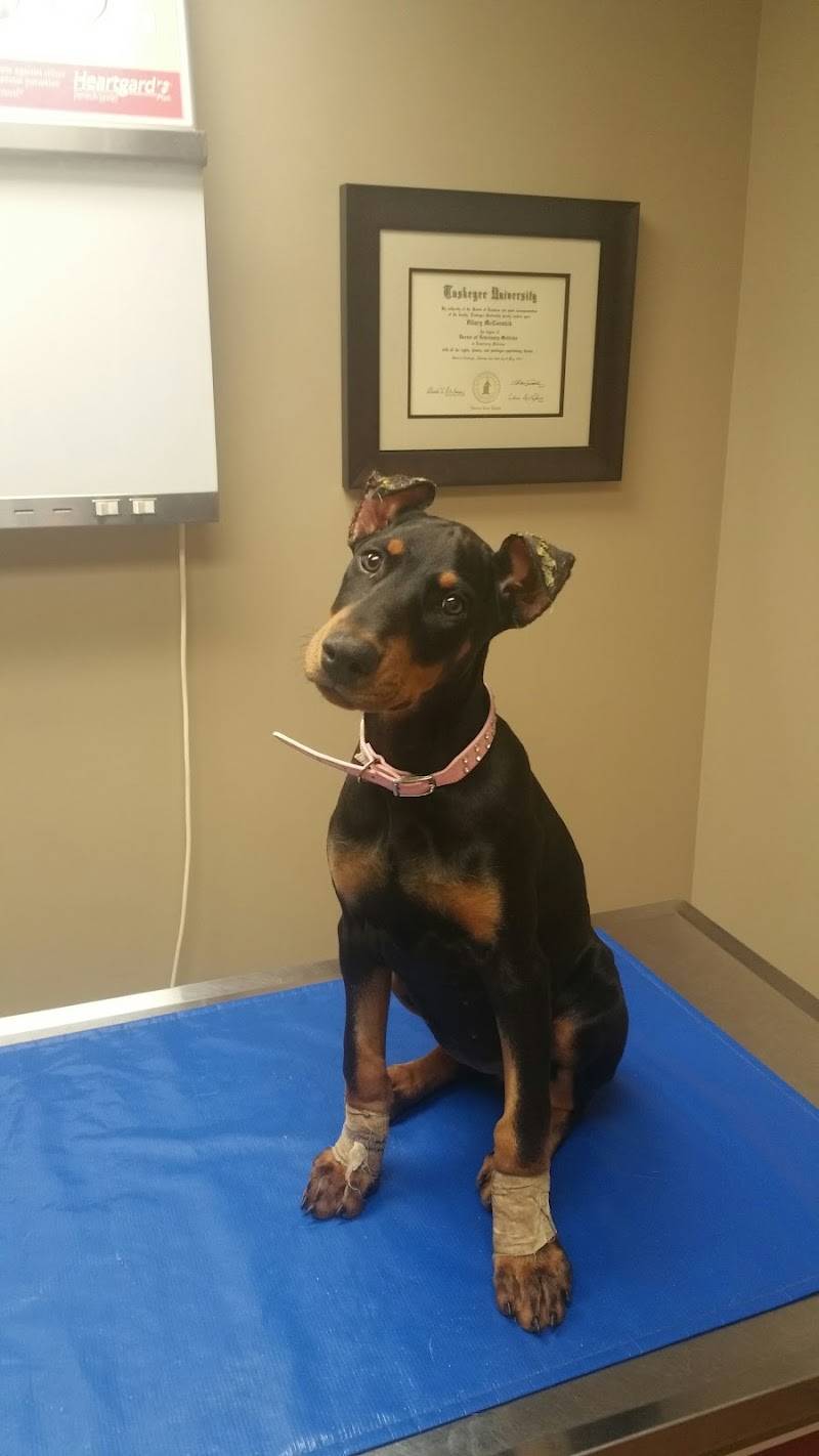 McCormick Animal Clinic