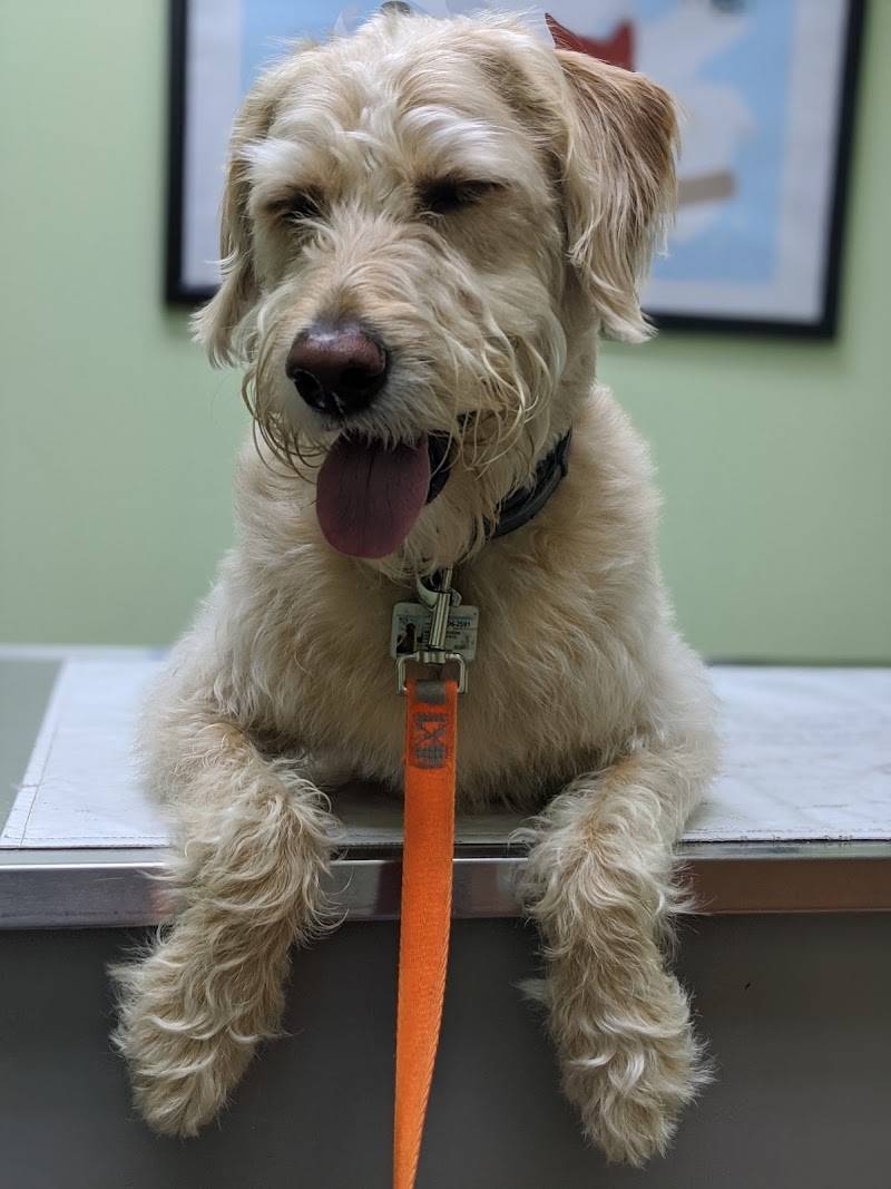 McCormick Animal Clinic