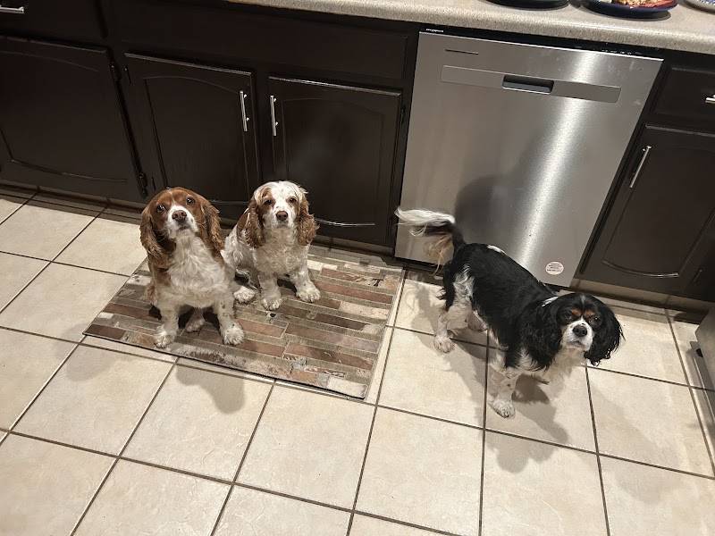 McCormick Animal Clinic